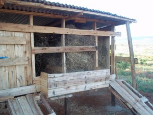 erbe di capre 002
